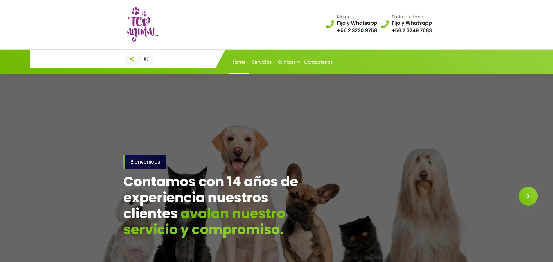 Captura Web TopAnimal